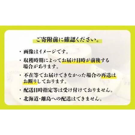 ふるさと納税 高糖度で酸味控えめ！産地直送キウイフルーツ「甘うぃ」 3.6kg＜一般社団法人地域商社ふるさぽ＞那珂川市.. 福岡県那珂川市