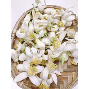 星源茶園特色季節限定茶柚花茶罐裝系列 柚花烏龍 柚花紅茶 柚花綠茶 舊 蝦皮 購物 Line購物