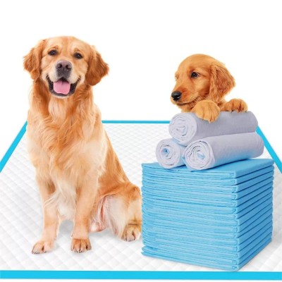 犬用子犬用トレーニングパッド,ペット用 超吸収パッド,速乾性,使い捨て