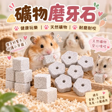 小寵加鈣磨牙石 鼠兔磨牙石 火山岩礦物磨牙石 磨牙石 倉鼠/黃金鼠/三線鼠/天竺鼠/兔子 磨牙用品 礦物磨牙石