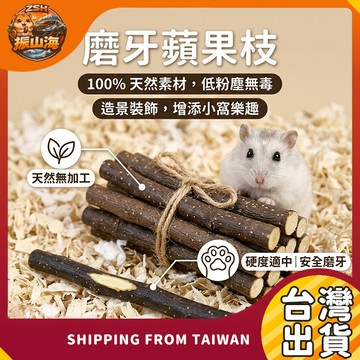 倉鼠磨牙棒 蘋果木細枝 天然磨牙棒 兔子/天竺鼠/龍貓 磨牙用品 高纖維零食 寵物磨牙木
