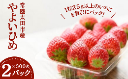 桧山FRUITFARM 特大・デラックスサイズ やよいひめ 2パック　