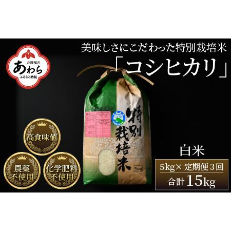 ふるさと納税 《定期便3回》コシヒカリ 精米 5kg （計15kg）特別栽培米 農薬不使用 化学肥料不使用 ／ 高品質 鮮度抜群 福井.. 福井県あわら市