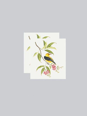 Golden Oriole Tattoo Sticker Pair 2 Sale