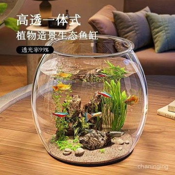 【一週內4500+人拚單】花魚桌麵造亞克力球形魚缸仿真裝飾創意餐廳擺設魚缸小型家用套餐🔥三月放送 PG3R