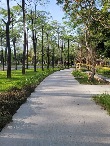稀有釋出*中興大學旁面園道.透天店面.可隔孝親房｜台中市南區興大路