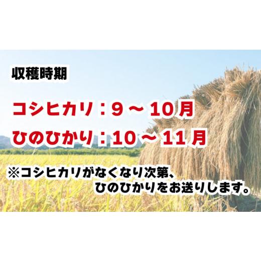 ふるさと納税 徳島県 阿波市  こしひかり ひのひかり 新米 玄米 5kg ブランド米 糖質制限 農家直送 令和5年産