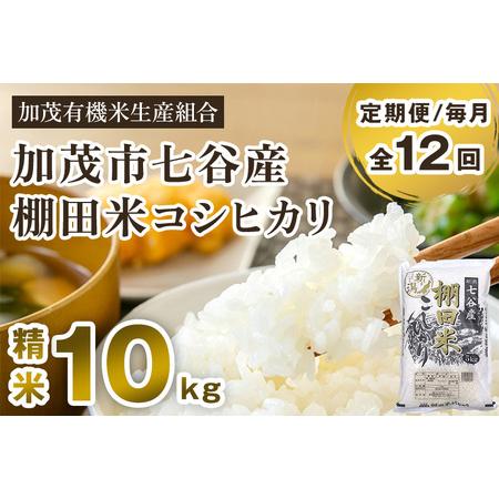 ふるさと納税 新潟県加茂市 七谷産 棚田米コシヒカリ 精米10kg（5kg×2）白米 加茂有機米生産組合 定期便 定期購.. 新潟県加茂市