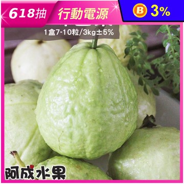 【阿成水果】高雄燕巢珍珠芭樂(7-10粒/3kg/盒) 水果禮盒