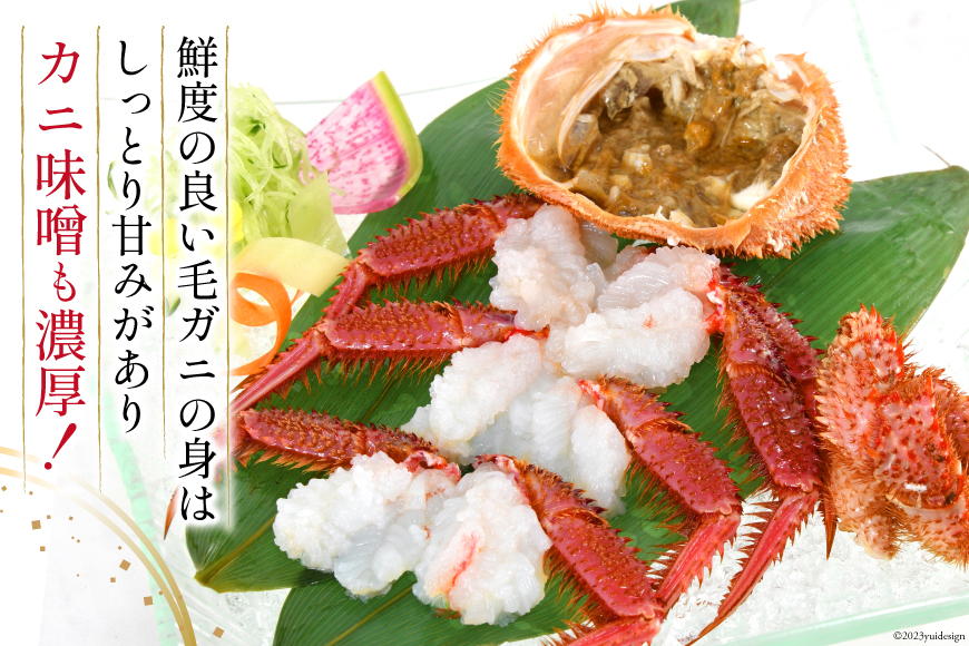 ＜先行予約＞かに 三陸産浜ゆで毛ガニ 約500g×2 計1kg [村東商店 宮城県 気仙沼市 20562147] 冷蔵 カニ 毛がに 魚介 海鮮 毛ガニ 毛蟹 毛がに 蟹