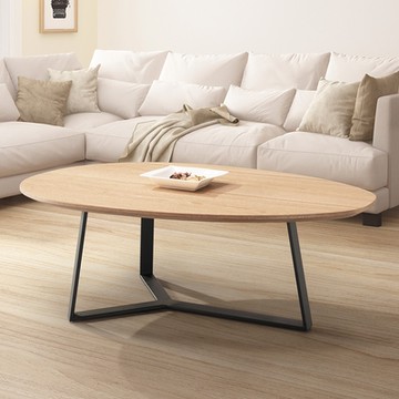 Boden-南敦3.3尺造型大茶几-100x60x35cm