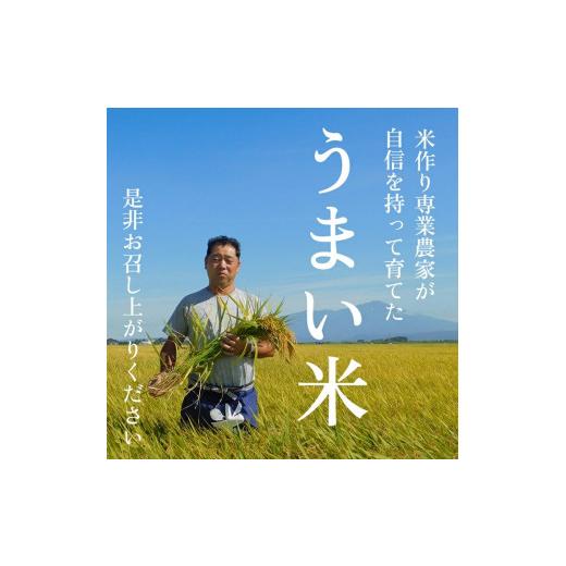 ふるさと納税 山形県 酒田市 SA1723　令和5年産はえぬき　10kg(5kg×2袋)「農家直送」 KA