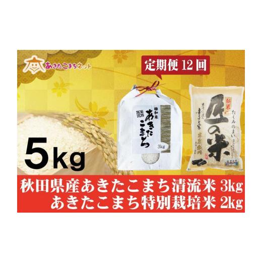 ふるさと納税 秋田県 秋田市 秋田県産あきたこまち3kg・大潟村ふると米2kgセット1年間（12か月）