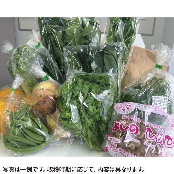 旬の野菜セット (野菜と果物8〜10品目) 奈良 和歌山 採れたて 産地直送 減農薬 有機質肥料 詰め合わせ(送料無料)