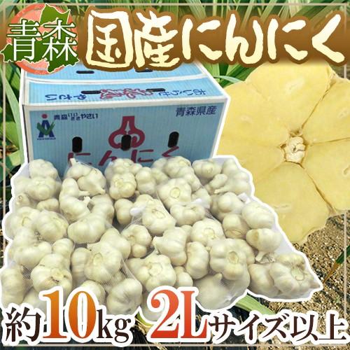 青森県 ”国産にんにく” 約10kg 等級A B 2Lサイズ以上 送料無料