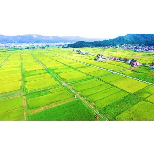 ふるさと納税 新潟県 南魚沼市 南魚沼産こしひかり「秋雪」玄米10kg 新潟県の特A地区南魚沼市の美味しいお米