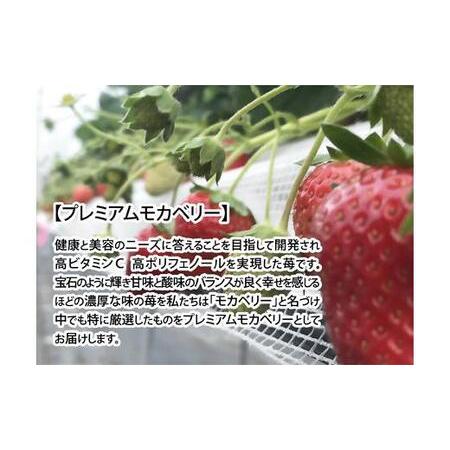 ふるさと納税 伊賀忍者いちご プレミアムモカベリー 4パックセット（約270g×4） 三重県伊賀市