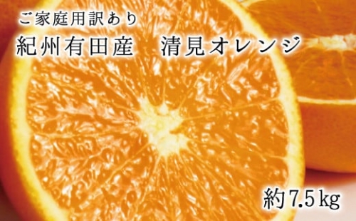 紀州有田産清見オレンジ　7.5kg ※2024年3月下旬頃～2024年4月下旬頃に順次発送予定(お届け日指定不可)