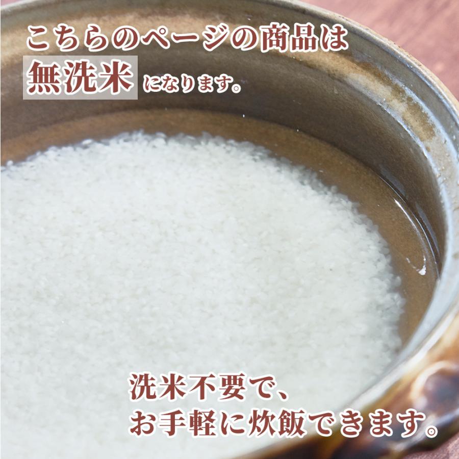 セール 新米 令和5年産 北海道産 ななつぼし 5kg 米 単一原料米 お米 白米 ヘルシー＆スマイル