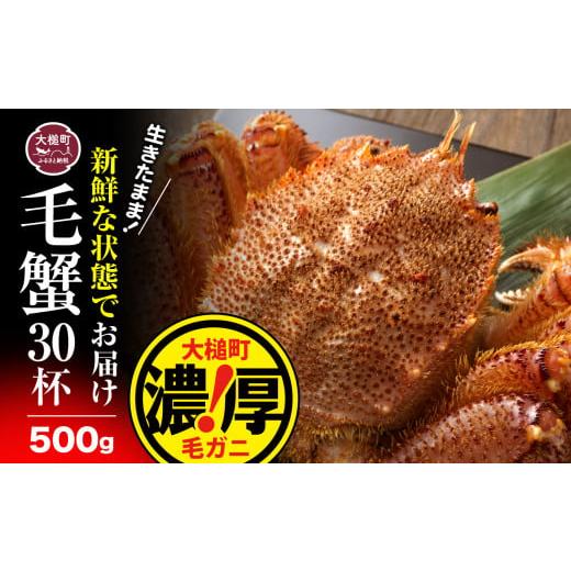 ふるさと納税 岩手県 大槌町 三陸産  活 毛ガニ  500g × 30 匹 天然 国産 冷蔵 三陸直送 濃厚 かに 蟹 カニ 毛ガニ 毛…