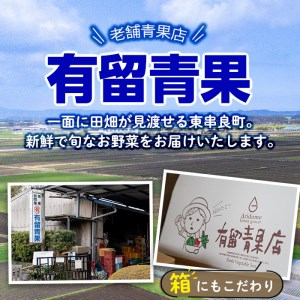 ＜定期便・全6回＞自慢の農家×老舗青果店のフルーツ定期便(6回)