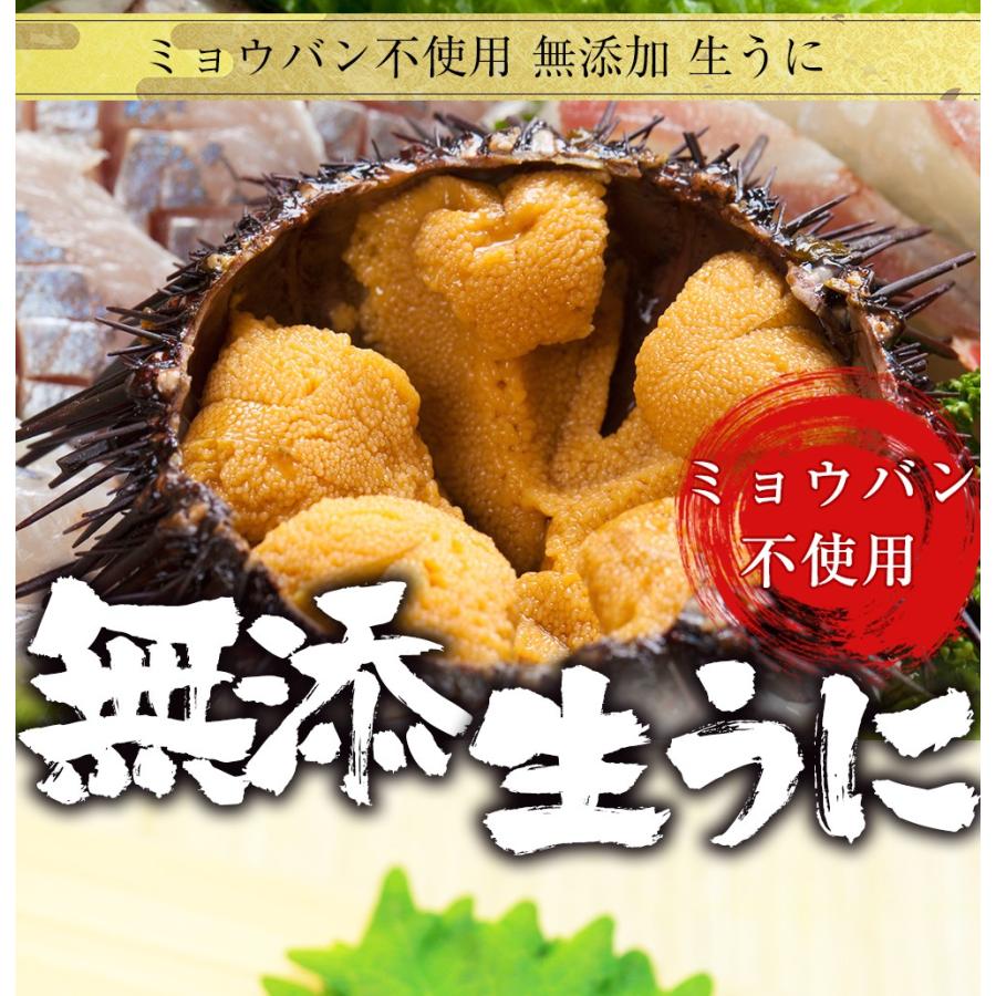 うに 100g 雲丹 冷凍生うに 無添加 ミョウバン不使用 AAグレード ウニ 安心・安全 丼2杯分 寿司 北海丼 在宅 母の日 父の日 敬老 在宅 中元 お歳暮 ギフト