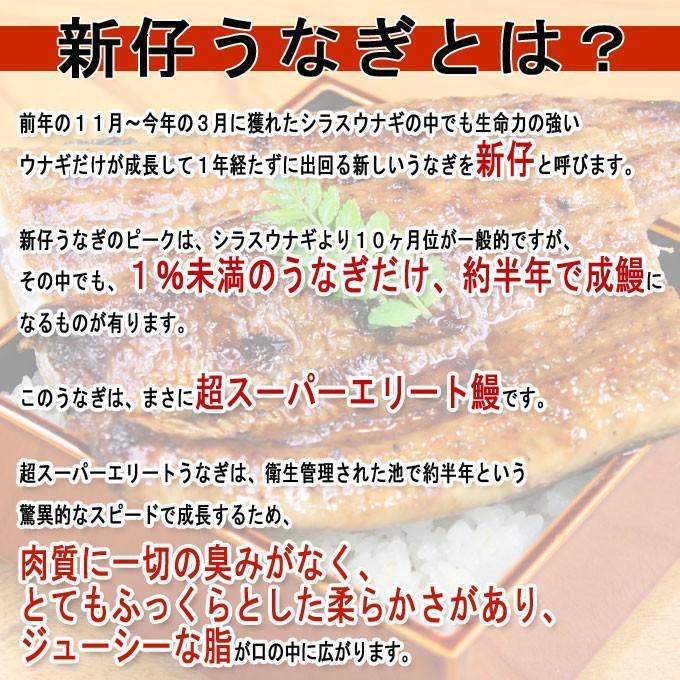 うなぎ 蒲焼 国産 送料無料 新仔 約160g 2尾 お取り寄せグルメ