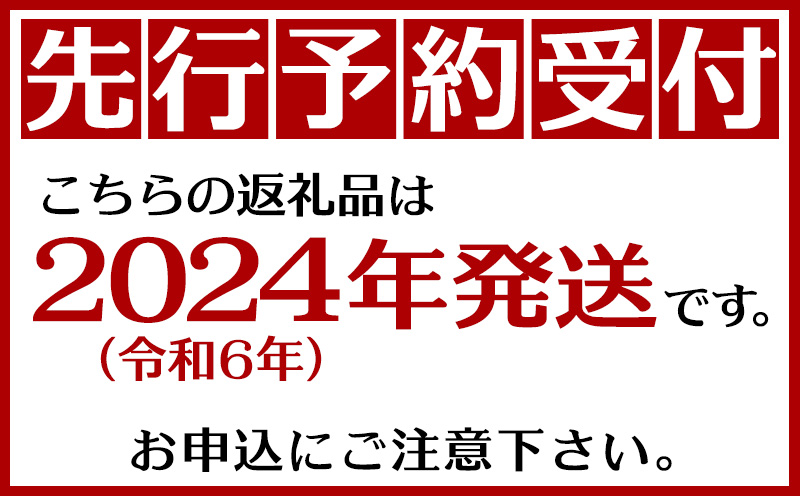 農園一番人気の完熟アップルマンゴー　秀品・約2kg農園から直送！