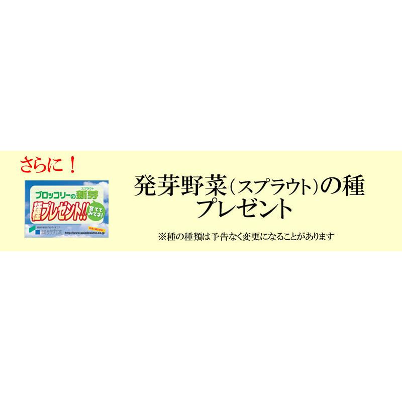 ブロッコリースプラウト 野菜セット 発芽野菜 おためし 11品セット 豆苗 子大豆もやし 機能性表示食品 ミールキット カット野菜 ギフト 送料無料