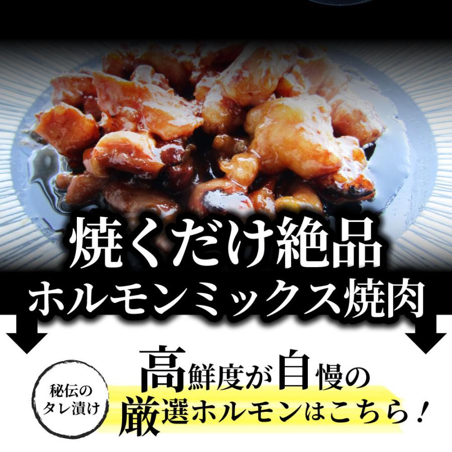 三種 ホルモン ミックス 焼肉 1kg（250ｇ×4パック）秘伝 タレ漬け バーベキュー BBQ 肉 焼くだけ 冷凍キャンプ キャンプ飯