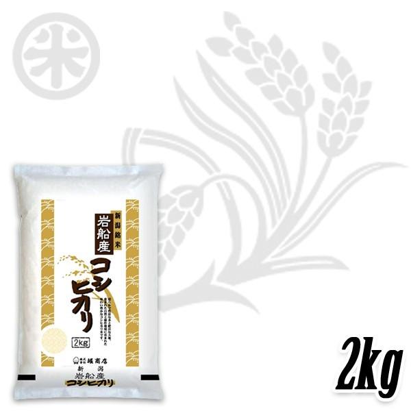 [新米 令和5年産] 岩船産コシヒカリ 厳選産地米 2kg (2kg×1袋) 新潟米 お米 白米 新潟県産 こしひかり 送料無料 ギフト対応