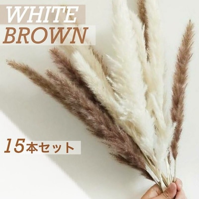 パンパスグラス ホワイト ブラウン 15本セット ドライフラワー インテリア フェイク 造花 ふわふわ インテリア 花束 ブーケ ナチュラル ウエディング ギフト ハンドメイド 通販 Lineポイント最大1 0 Get Lineショッピング