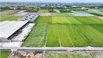 專-西港後營7.6分農地｜台南市西港區八分段​