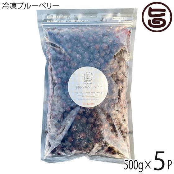 冷凍ブルーベリー500g×5P 堀うち農園 無農薬栽培 安心 安全