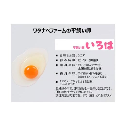 ふるさと納税 栃木県 矢板市 [平飼い卵30個×12か月連続定期便] 全体的に甘みとコクのある黄身｜矢板市産 こだわり卵 たまご 玉子 生卵 鶏…