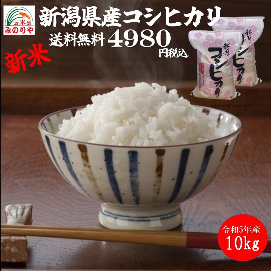 新米 令和5年産 新潟県産コシヒカリ10kg  (5kg×２袋）うまい米 米専門 みのりや 白米 ポイント消化 送料無料