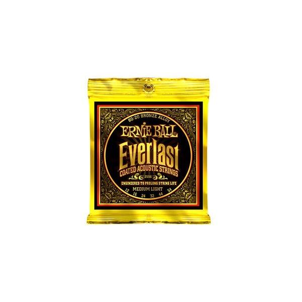 ERNIE BALL（アーニー・ボール） アコースティックギター弦 EVERLAST COATED 80 20BRONZE MEDIUM LIGHT