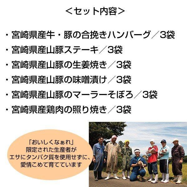 惣菜 バラエティセット 合計18袋入り 6種類×3袋入 少量サイズ 肉惣菜  惣菜セット    宮崎県産 冷凍