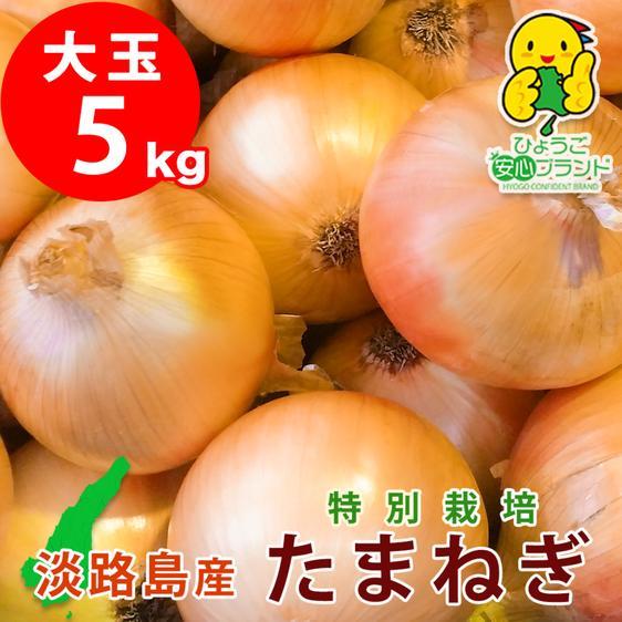 野菜 玉ねぎ あさひサンファームの淡路島たまねぎ  特別栽培 産地直送