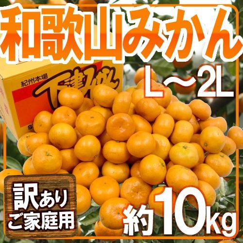 みかん ”和歌山みかん” 訳あり L〜2Lサイズ 約10kg 送料無料