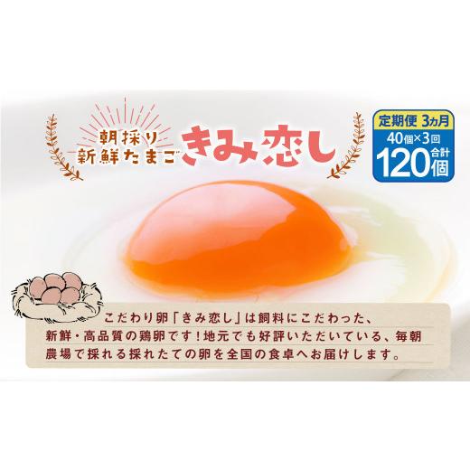 ふるさと納税 福岡県 広川町 きみ恋し 箱入り 40個×3ヶ月 120個 卵 タマゴ たまご 玉子 鶏卵