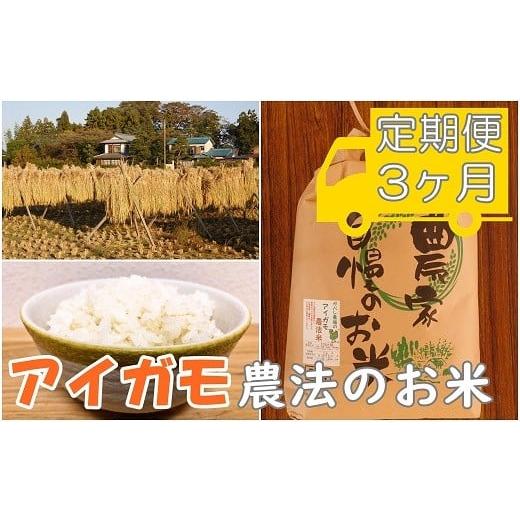 ふるさと納税 埼玉県 鴻巣市 ガバレ農場「大地の風」５ｋｇ×３ヶ月　玄米　精米歩合指定OK