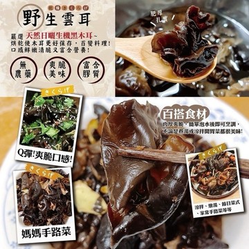 【粿女兒商行】🔥現貨 外銷日本 野生雲耳100g（又稱川耳）