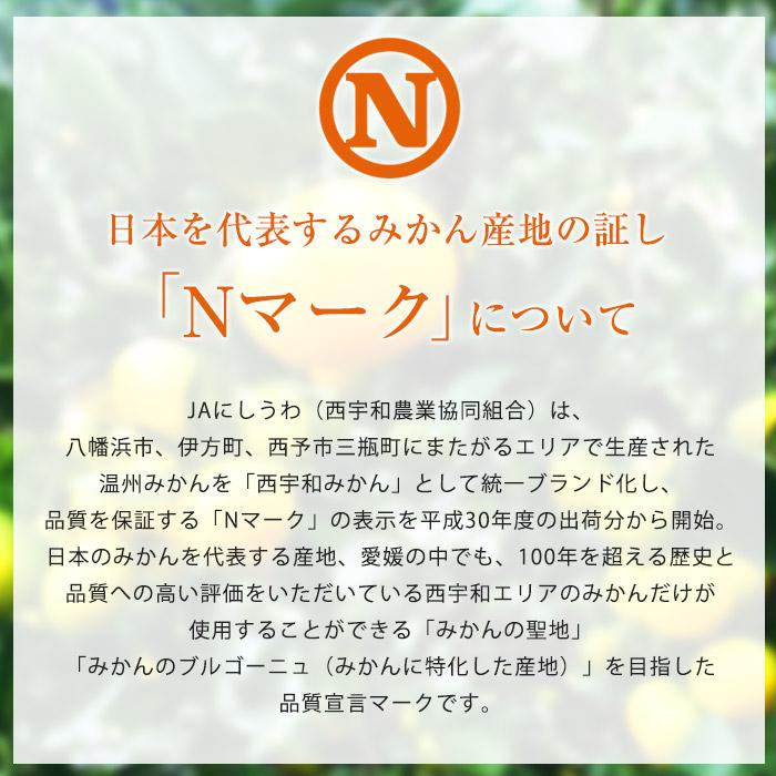 高級みかん 愛媛県産 ゴールド千両 日の丸みかん 特秀品 約5kg M〜Lサイズ 40〜50個 JA西宇和協賛