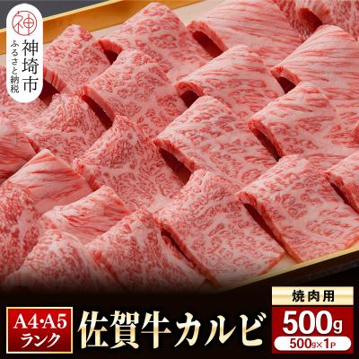 ふるさと納税 神埼市 カルビ焼肉用500g (H081107)