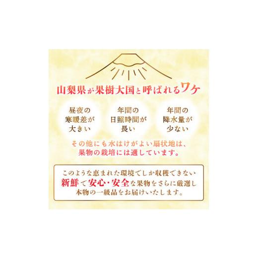 ふるさと納税 山梨県 富士吉田市  厳選 フルーツ 3回 定期便 山梨 フルーツ