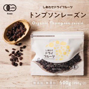 房干しトンプソンレーズン 500g (250g×2袋)  (アメリカ産) 送料無料 無添加 ノンオイル 砂糖 着色料不使用 ドライフルーツ