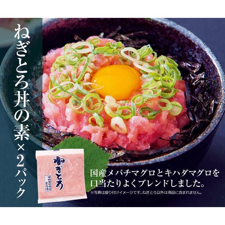 海鮮丼 計12食 マグロ漬け ネギトロ サーモンネギトロ トロサーモン びんちょうマグロ イカサーモン 各2P