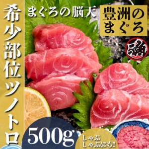 脳天　500ｇ  ツノトロ 脳天 ノーテン ズニク ハチノミ 鮪版 シャトーブリアン 大 ～ 特大   ミナミ マグロ まぐろ 天然 国産