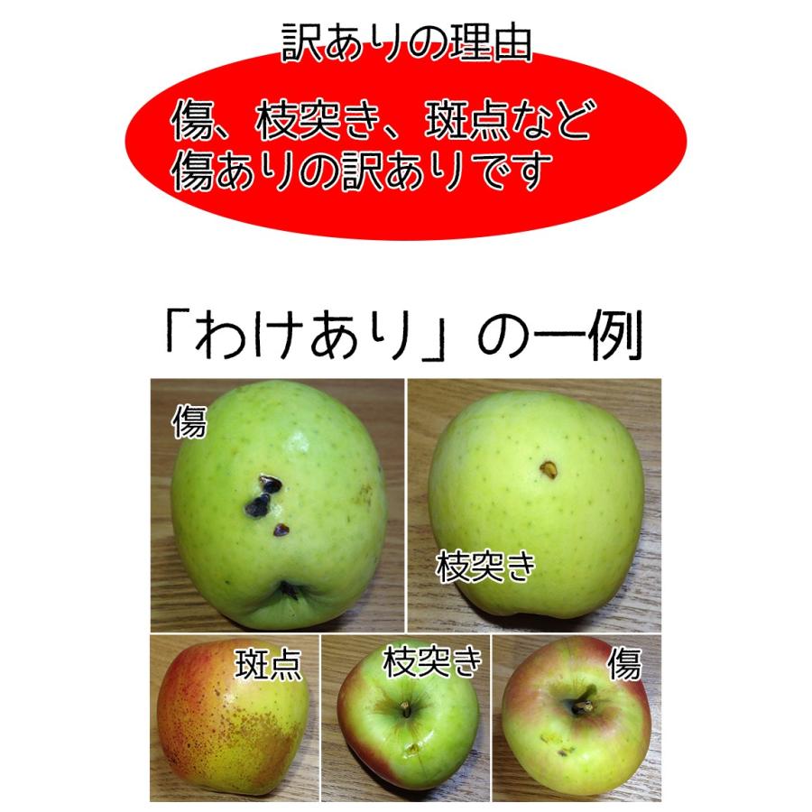 りんご 訳あり 10kg 青森県産 ぐんま 名月 約10kg 訳あり 幻のりんご 送料無料 傷あり 予約 11月下旬頃から発送